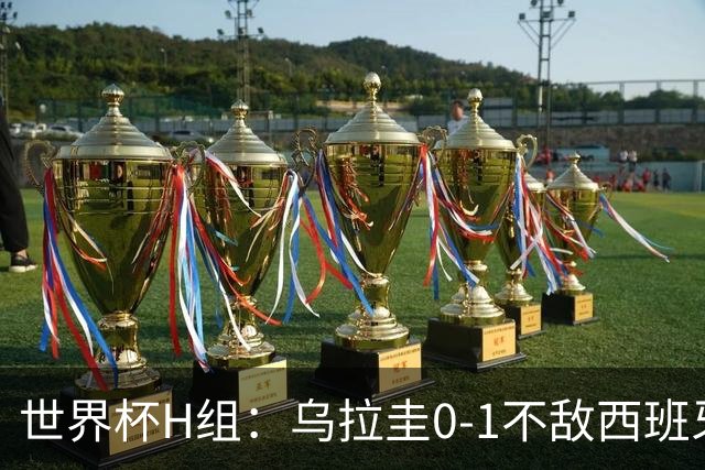 世界杯H组：乌拉圭0-1不敌西班牙 佛得角0-0战平沙特阿拉伯