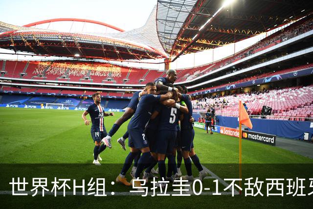 世界杯H组：乌拉圭0-1不敌西班牙 佛得角0-0战平沙特阿拉伯